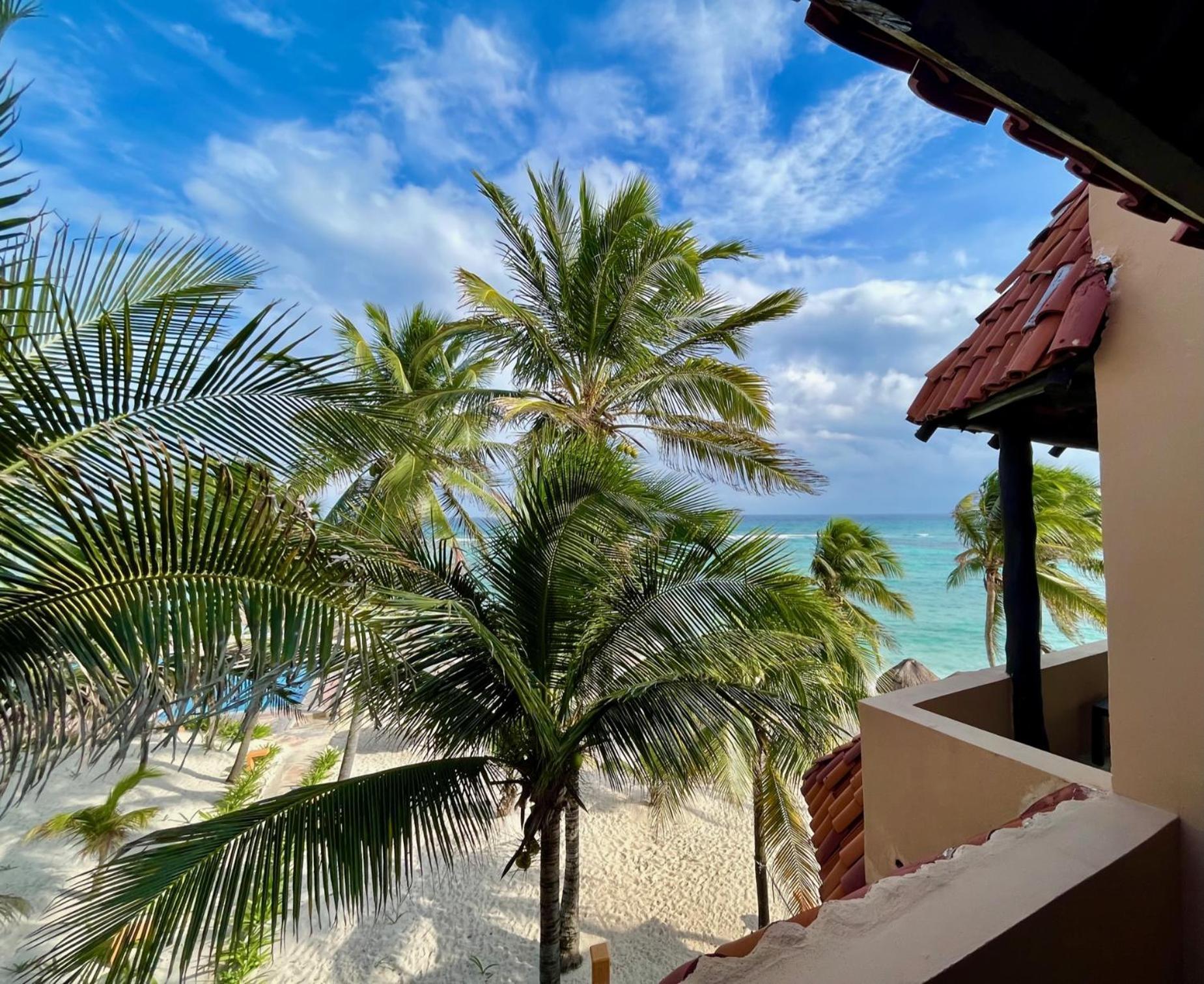 Beachfront Hammock Heaven 艾库玛尔 外观 照片