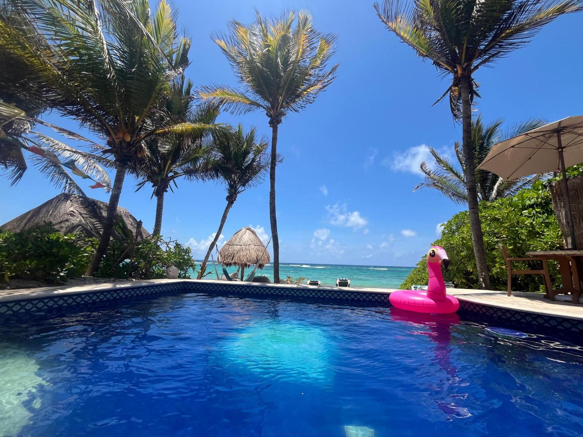 Beachfront Hammock Heaven 艾库玛尔 外观 照片
