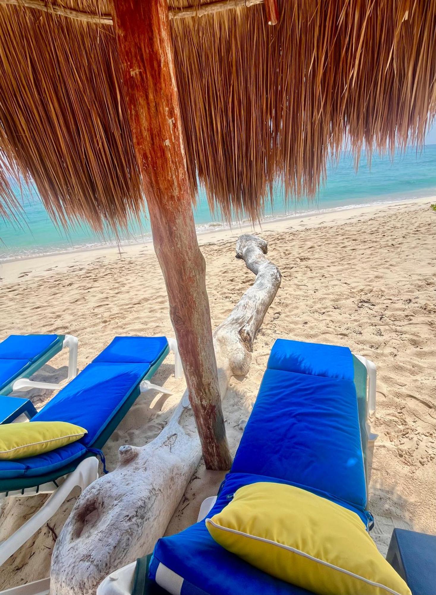 Beachfront Hammock Heaven 艾库玛尔 外观 照片