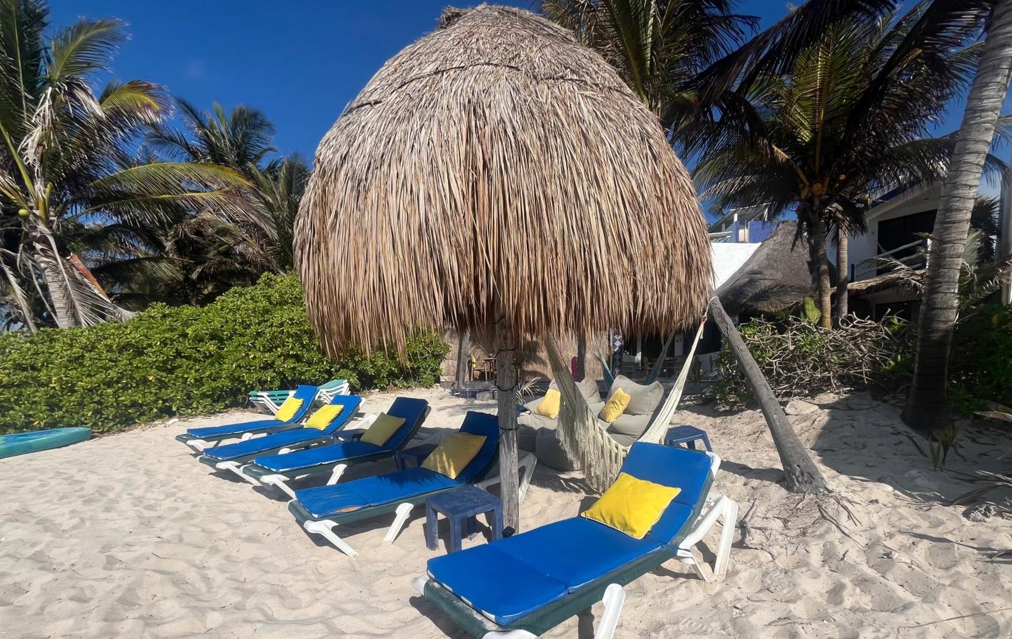 Beachfront Hammock Heaven 艾库玛尔 外观 照片