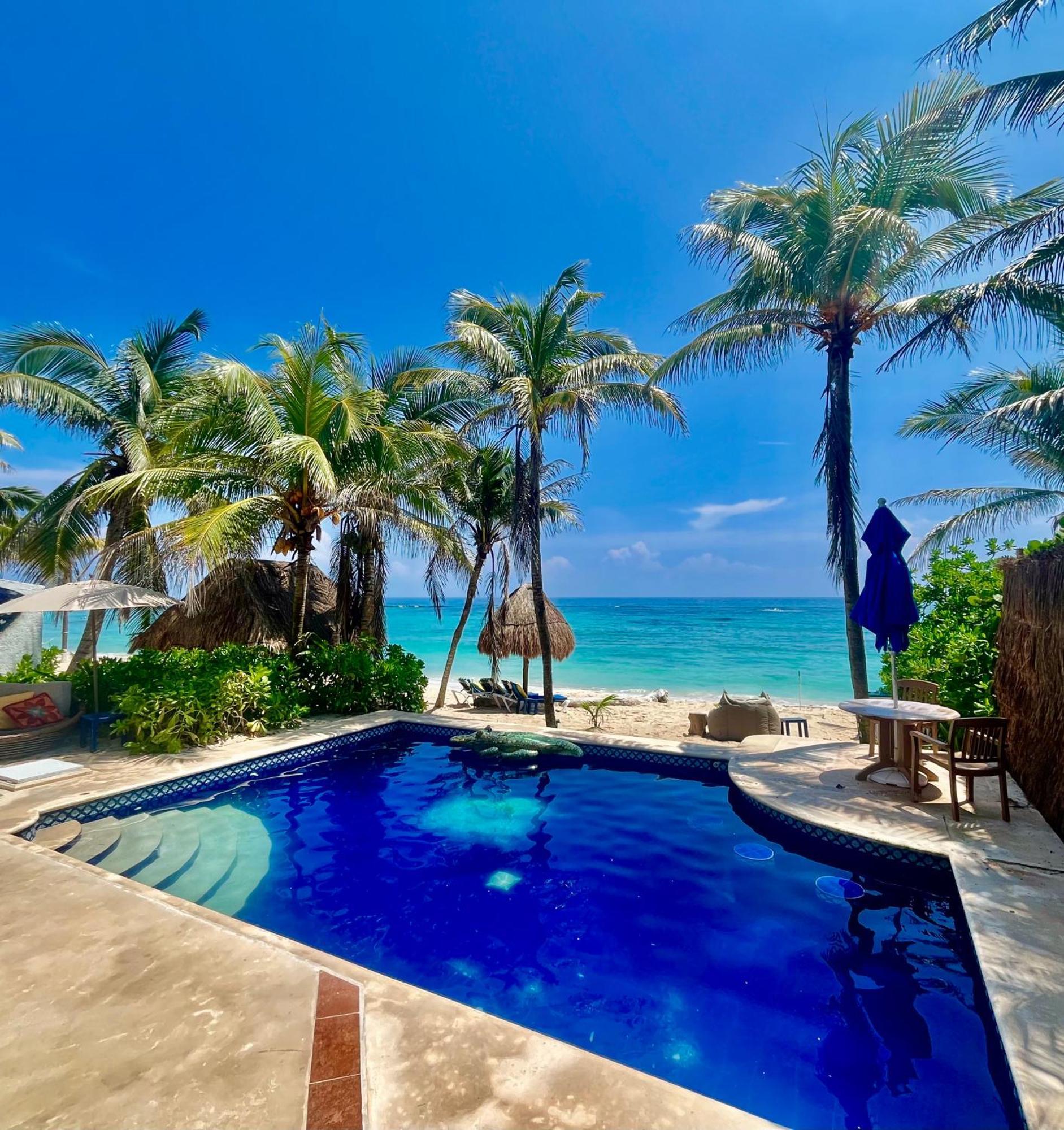 Beachfront Hammock Heaven 艾库玛尔 外观 照片