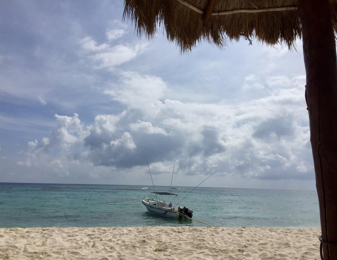 Beachfront Hammock Heaven 艾库玛尔 外观 照片