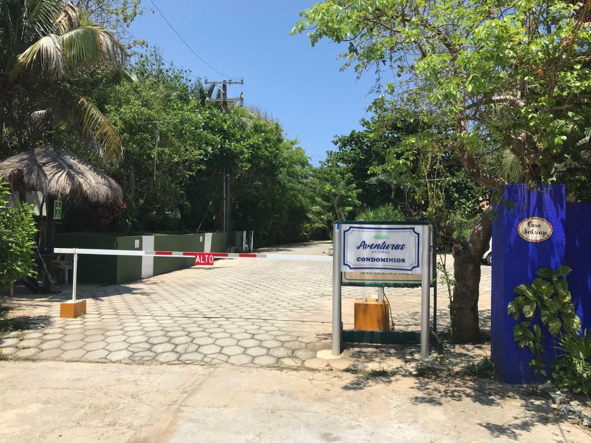 Beachfront Hammock Heaven 艾库玛尔 外观 照片